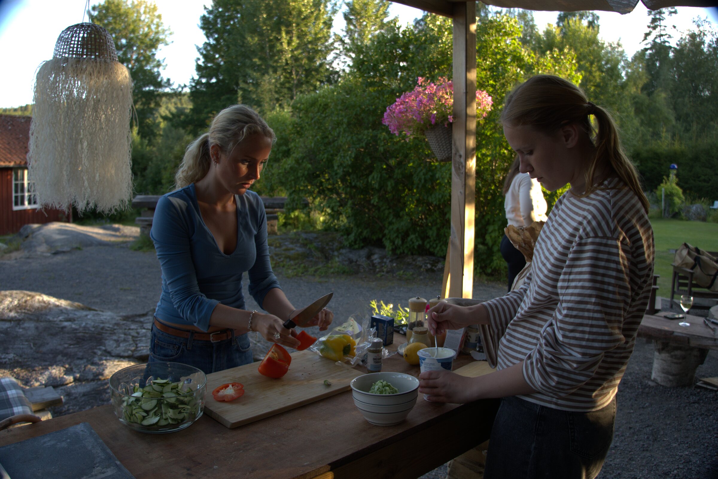 Orangeriet, bild 3